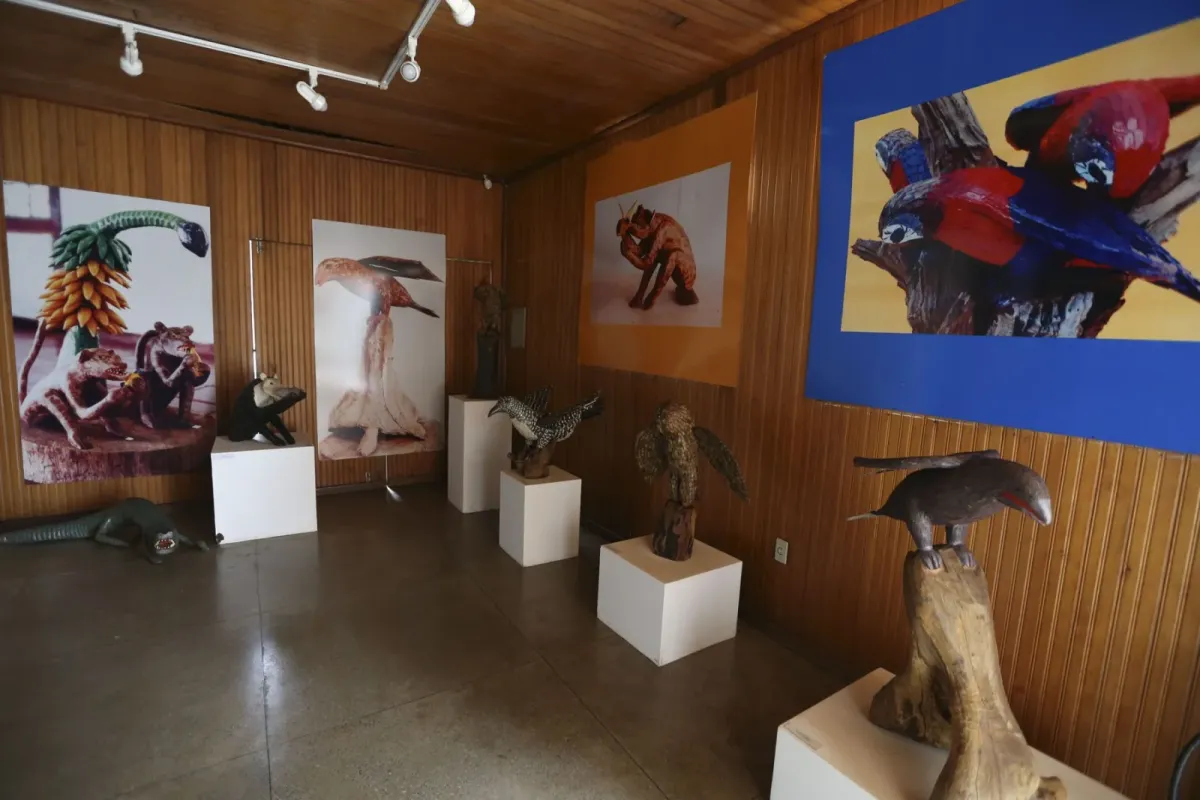 Sala de exposição do Museu Vivo da Memória Candanga, com esculturas em madeira e fotografias de obras de artistas populares. Foto: Agência Brasil Fotografias/Wikimedia Commons (CC BY 2.0)