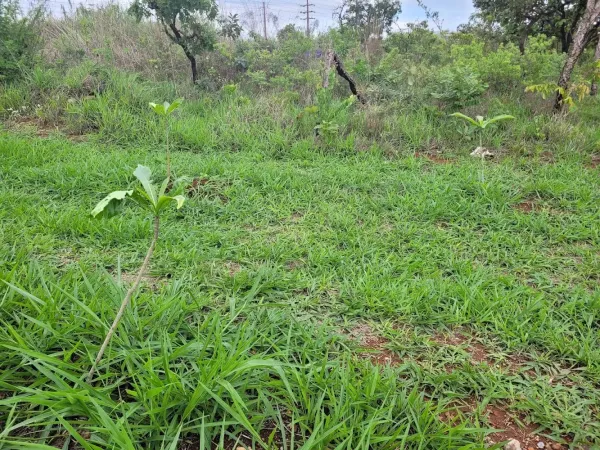 Parque Ecológico Burle Marx
