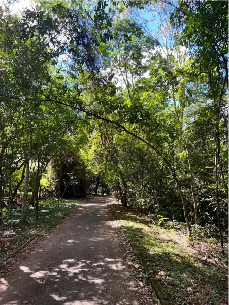 Parque Ecológico do Lago Norte (Vivencial)