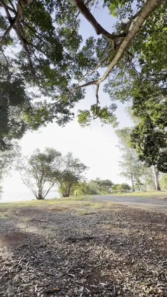 Parque Ecológico das Garças