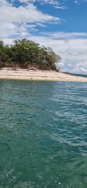 Areia branca e a vegetação de Cerrado em volta da ilha