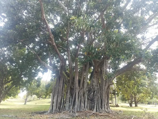 Parque Ecológico do Paranoá