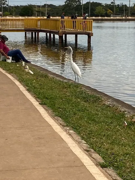 Parque Ecológico Veredinha e Lago Veredinha