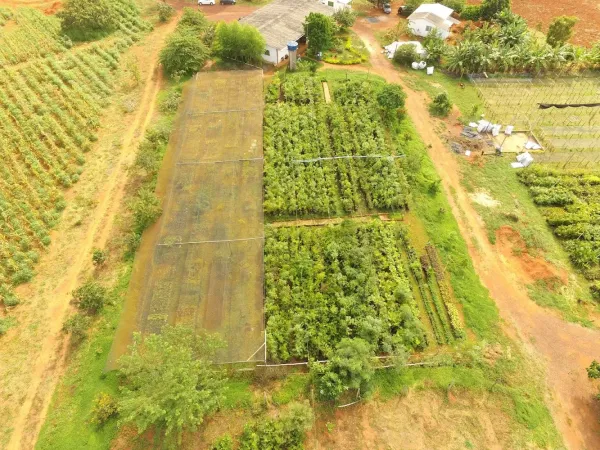 Paisagem Nativa