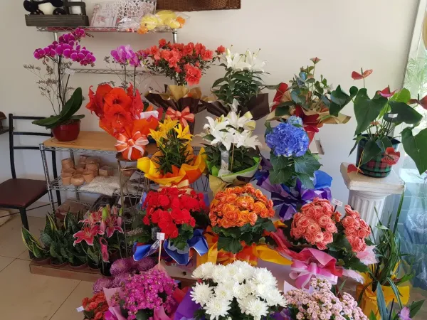 Flores Bellas