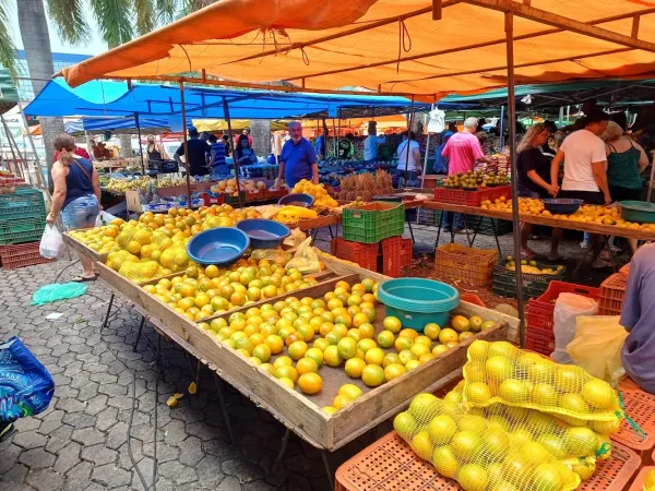 Feira Livre da Vila Matias