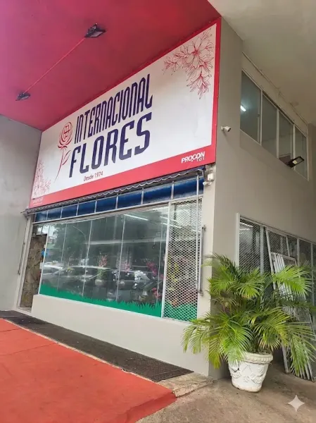 Internacional Flores