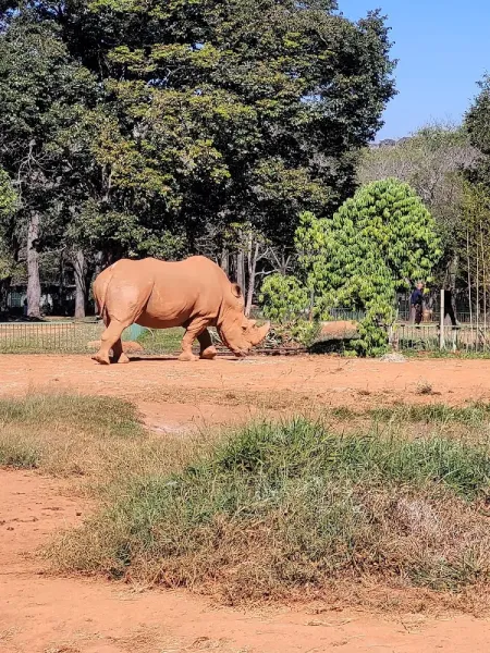 Zoológico de Brasília