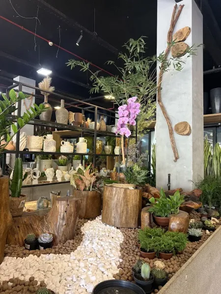 Agroflores Brasília