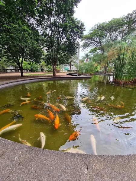 Jardim de Burle Marx