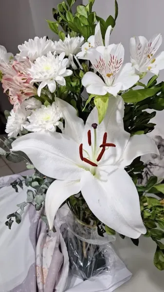 Flô