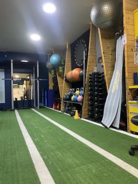 MT Fit