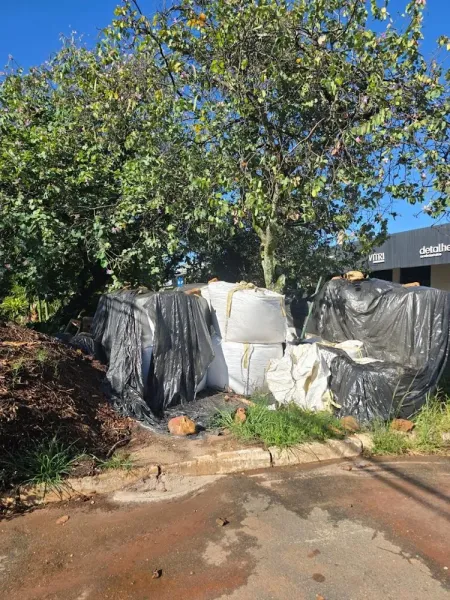 Agroflores Brasília