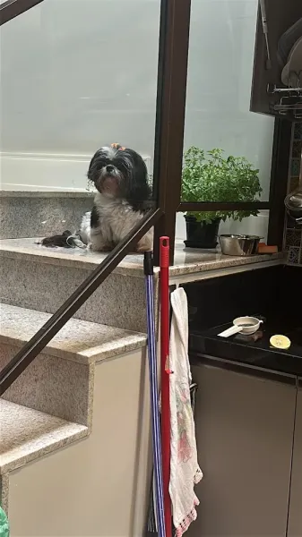 MultiVet