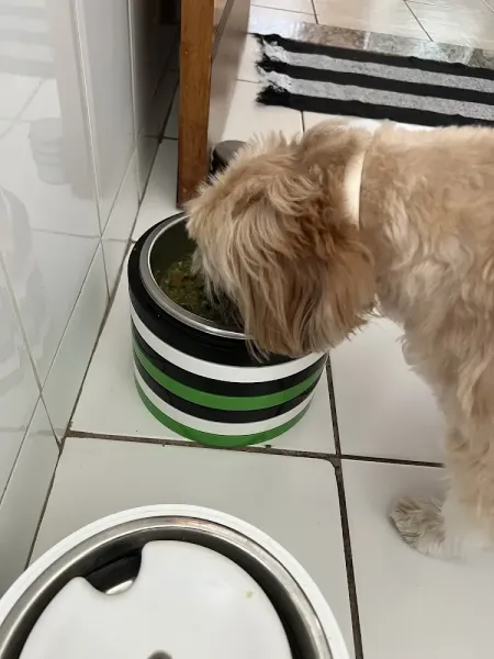 Pets Kitchen