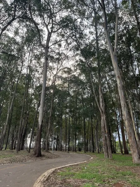 Parque Ecológico Três Meninas
