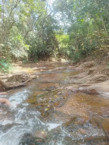Pesque Pague Águas do Cerrado