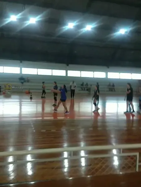 Escola de Voleibol Osman Nunes