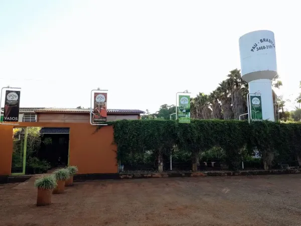 Pau Brasília Viveiro Eco Loja