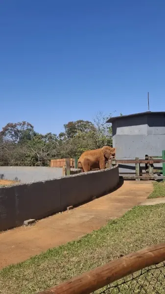 Zoológico de Brasília