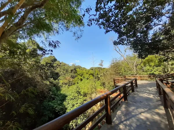 Parque Ecológico do Cortado