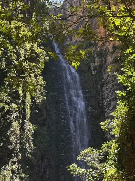 Ecotour Aventuras Ecológicas