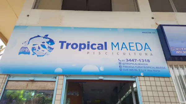 Tropical Maeda