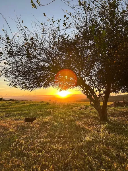 Vida Rural Brasília