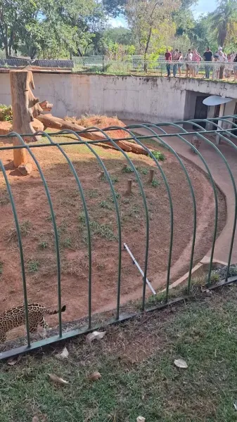 Zoológico de Brasília