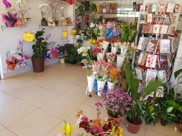 Flores Bellas