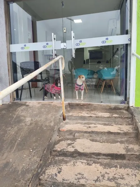 CEDVEP Diagnóstico Veterinário