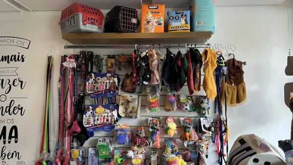 Cão Mais Gato