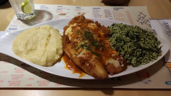 Peixe na Rede Plano Piloto