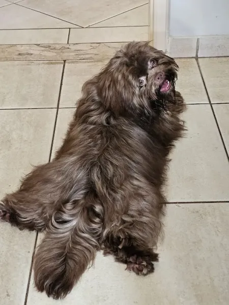 B&B Petzone