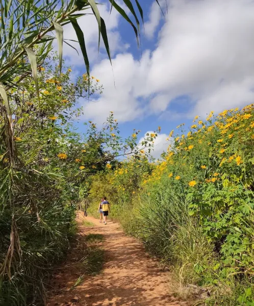 Parque do Guará