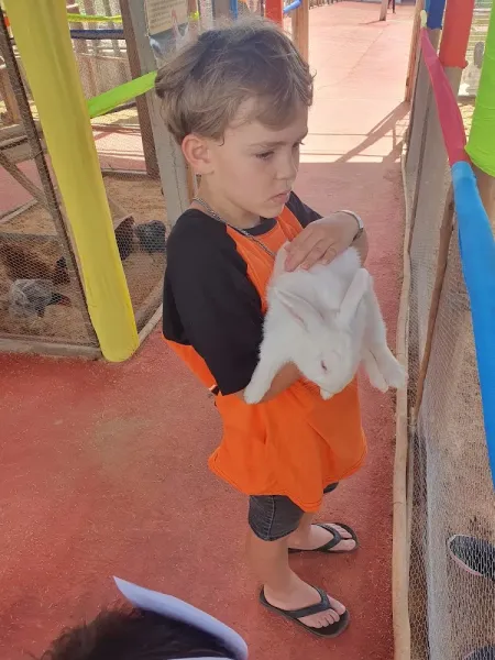 Fazendinha Arca do Cerrado