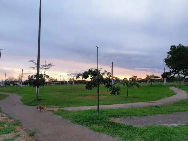 Taguaparque