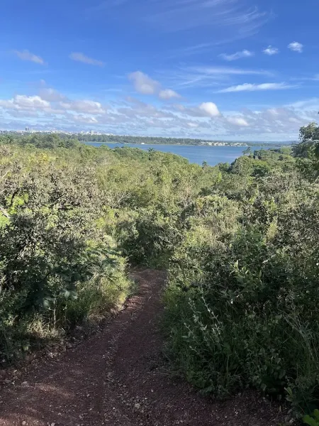 Trilha no Cerrado